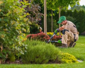 landscaping vs gardening